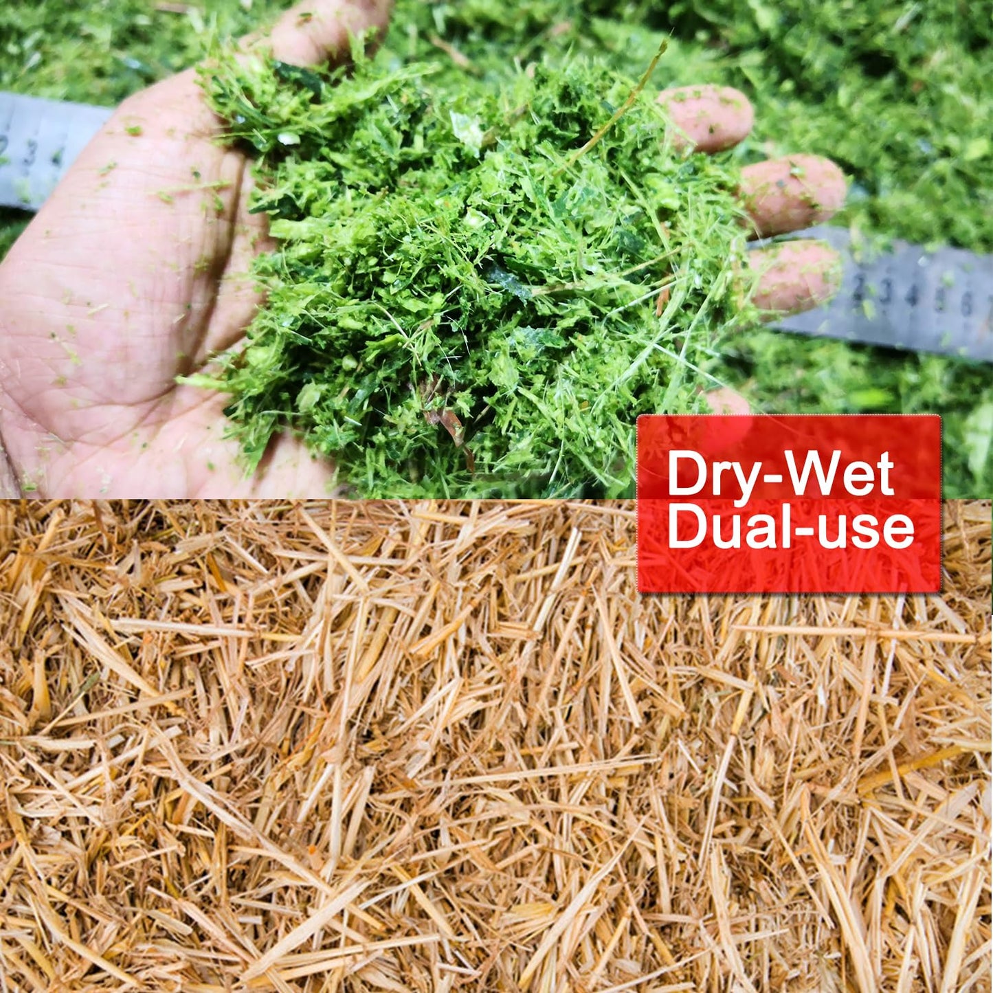 HayWHNKN Chaff Cutters Cutting Grass Chopper Corn Straw Cutter Pulverizer Hay Crusher for Animal Feed Process Auto Feed Straw Silage Machine 220V 3KW 4 Blade(with Conveyor)