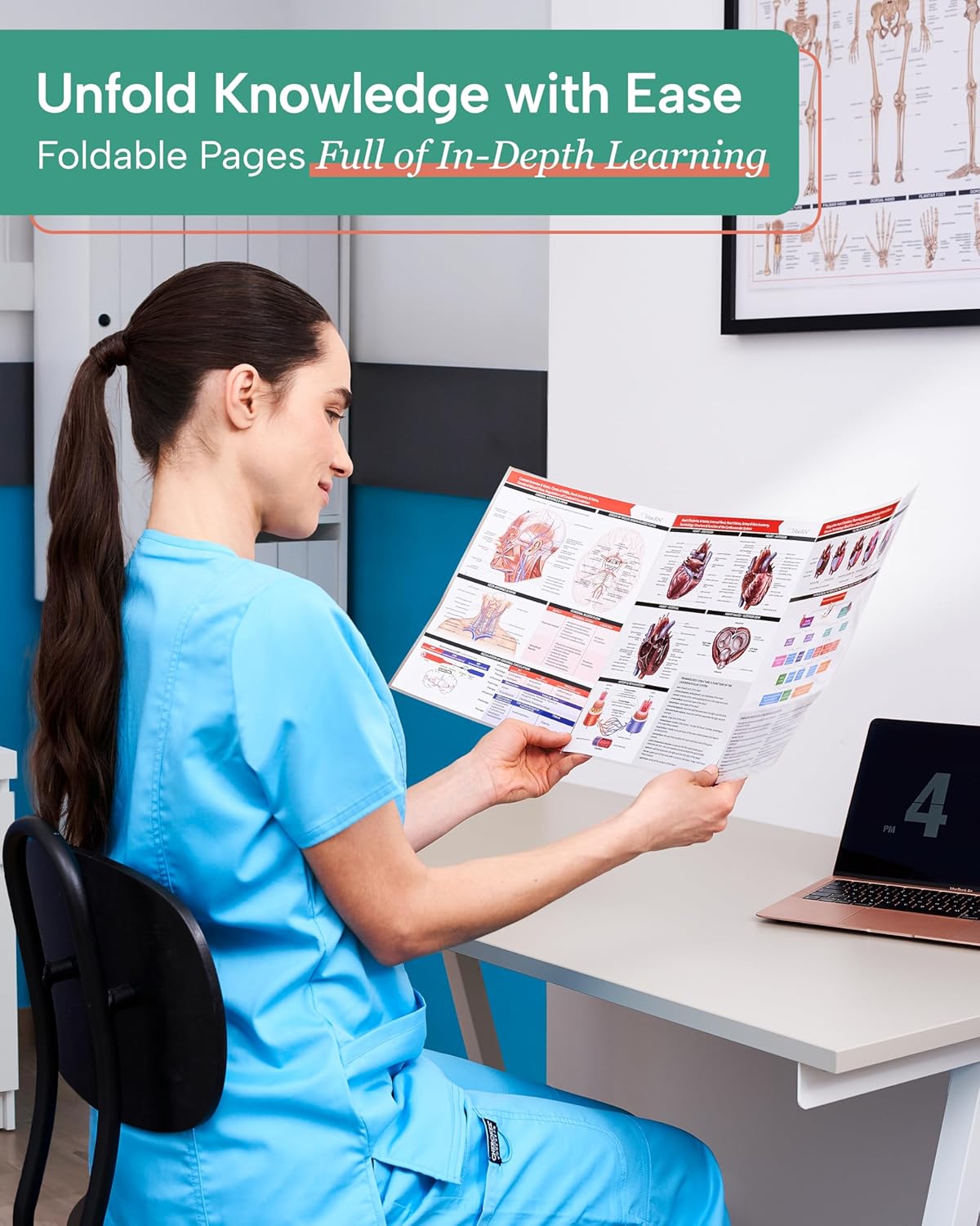 TribeRN Anatomy & Physiology Study Guides - Set of 10 Comprehensive Human Anatomy Resources for Nursing Students | 12 Key Topics with Reference Charts