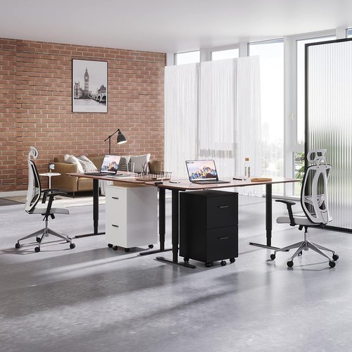 2 Drawer Mobile File Cabinet, Wood Rolling Filing Cabinet Printer Stand Under Desk Storage Organizer Fits Letter Size File Folders for Home Office (Black)