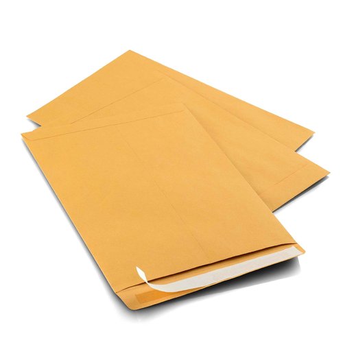 9 X 12 Self-Seal Brown Kraft Catalog Mailing Envelopes - 28lb - 250 Count, 9x12 Inch (38302)