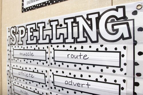 Teacher Created Resources Black Painted Dots On White Name Plate, 11.5 * 3.5 inches, Black & White