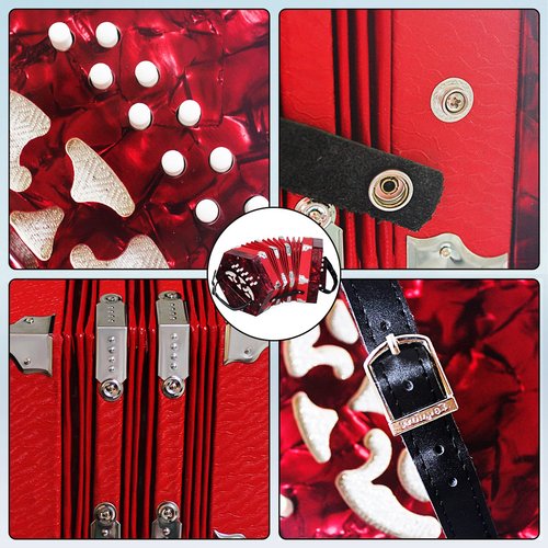 Concertinas，20 Buttons Accordion For Adults Professional Accordion for Beginners, Adjustable Hand Strap, Musical Instrument Accessories With Carrying Bag, Harmonica,Wipe Cloth（Red）