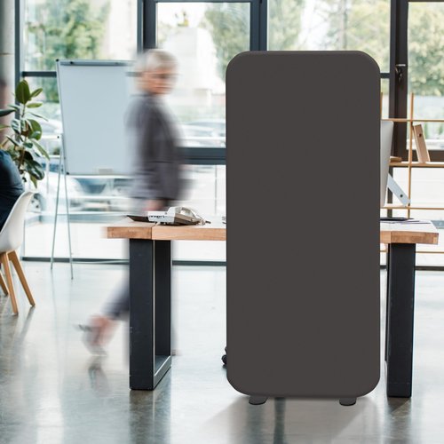 DECOLAB Room Divider Panel, Standing Privacy Partition Dividers for Office, Studio Apartment, Classroom, Home, Restaurant, Scratch Resistance, 29"x65", Iron