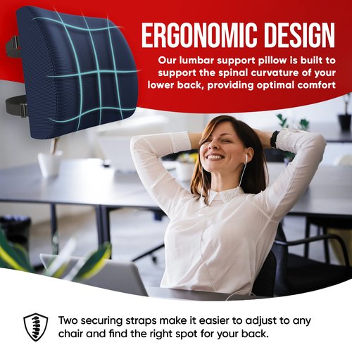 FORTEM Chair Seat Cushion (Mesh, Blue) + Lumbar Support