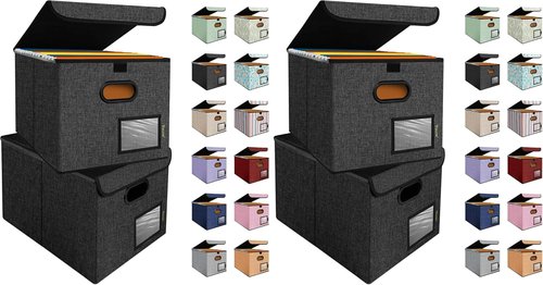 BALEINE File Organizer Box - Collapsible Document Storage with Lid & Plastic Slide | 4 Pack, Black