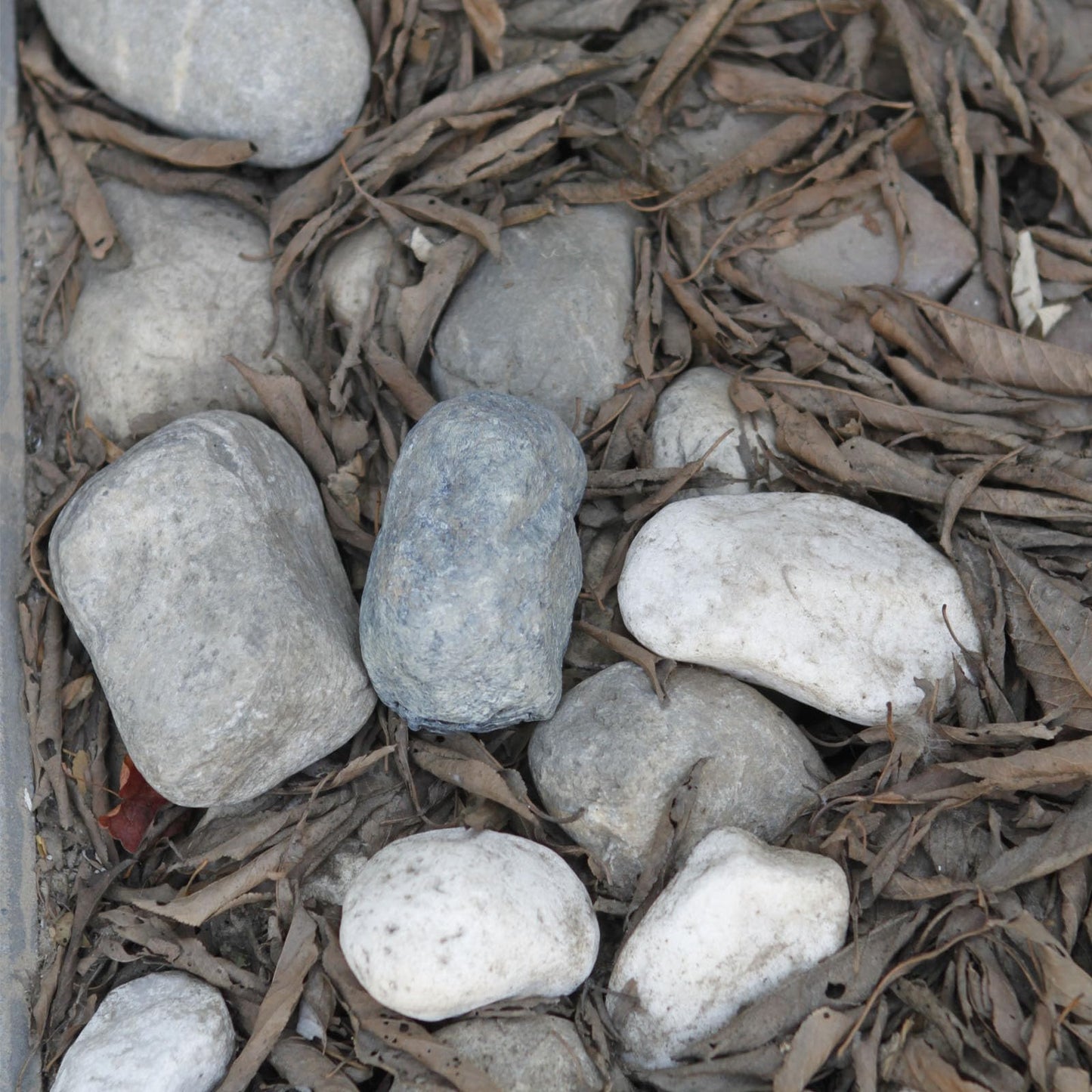 Spare Key Hider Rock - Hide a Key Outside in a Real-Looking Stone, Key Hiders Outside for Outdoor Garden or Yard (Gray)