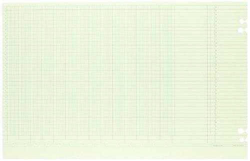 Wilson Jones Green Columnar Sheets, Single Page Format, 14 Columns, 36 Lines Per Page, 11" X 17", 100/Pack, WG50-14B