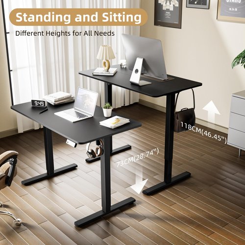 ERGOMAKER 43" Electric Standing Desk, Height Adjustable, Sit Stand Up Desk for Home Office & Computer Workstations, Memory Controller, Black