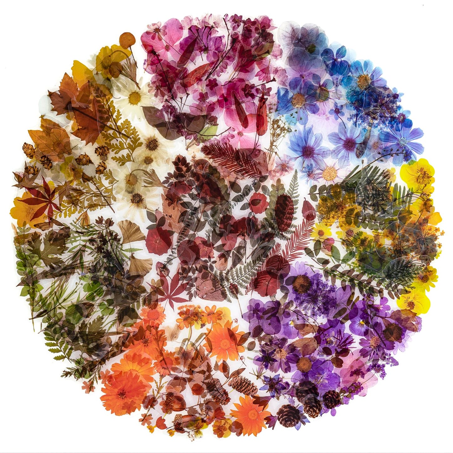 NOGAMOGA 320 PCS Natural Vintage Flower Stickers, Small Floral Leaf Sticker Self-Adhesive Scrapbook Supplies for Journaling, Resin Art, DIY Crafts, Card Making