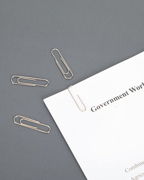 PAPERPAL Paperclips for Office School & Personal Use, #1 Nonskid Paper Clip (1-2/7"), 600 Medium Paper Clips (6 Boxes of 100 Each), Silver