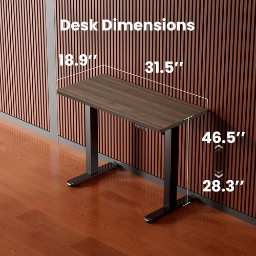ErGear Electric Standing Desk - Height Adjustable Sit Stand Up Desk, 32 x 19 Inches, Dark Walnut Finish