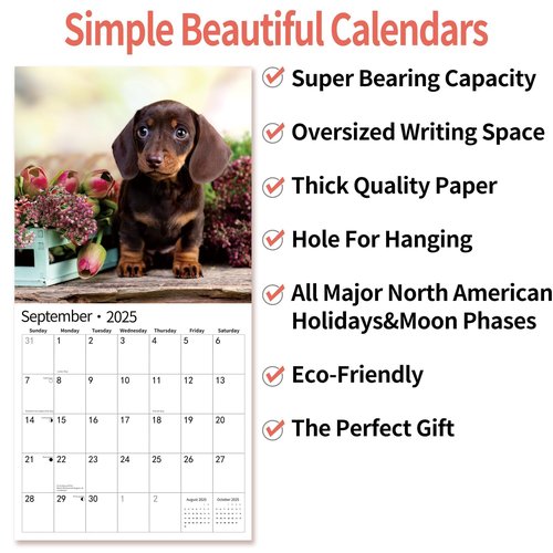 2025 Wall Calendar,Calendar 2025, January 2025 - December 2025, Wall Calendar Dachshund, 12" x 24" Opened,Full Page Months Thick & Sturdy Paper for Gift Perfect Calendar Organizing & Planning