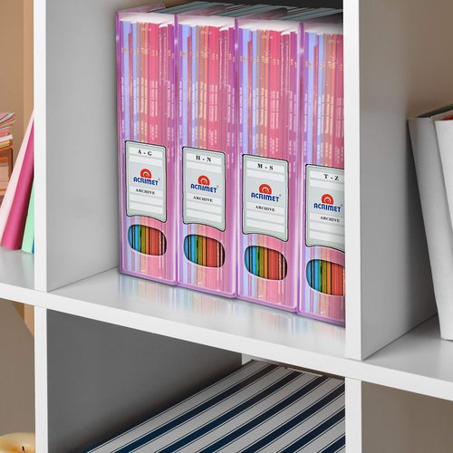 Acrimet Magazine File Holder, Durable Rack, Space-Saving Organizer (Plastic) (Clear Pink Color) (2 pack)