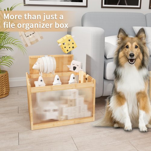 LONTAI Bamboo Hanging File Box with Removable Lid, File Organizer Box for Letter/Legal File, Acrylic File Box with Hanging Folders Light Easy Assembly File Storage Boxes for Home Office, Natural