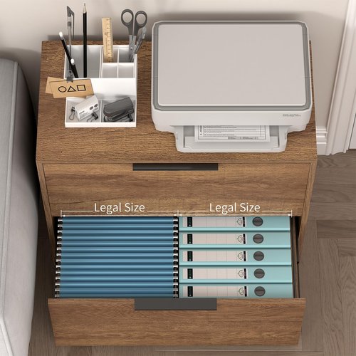 LUCYPAL 2 Drawer Lateral File Cabinet,Lateral Filing Cabinets for Home Office,Wooden Filing Cabinets Printer Stand for Letter Size Files,Brown 27.56" W x 14.57" D x 24.02" H