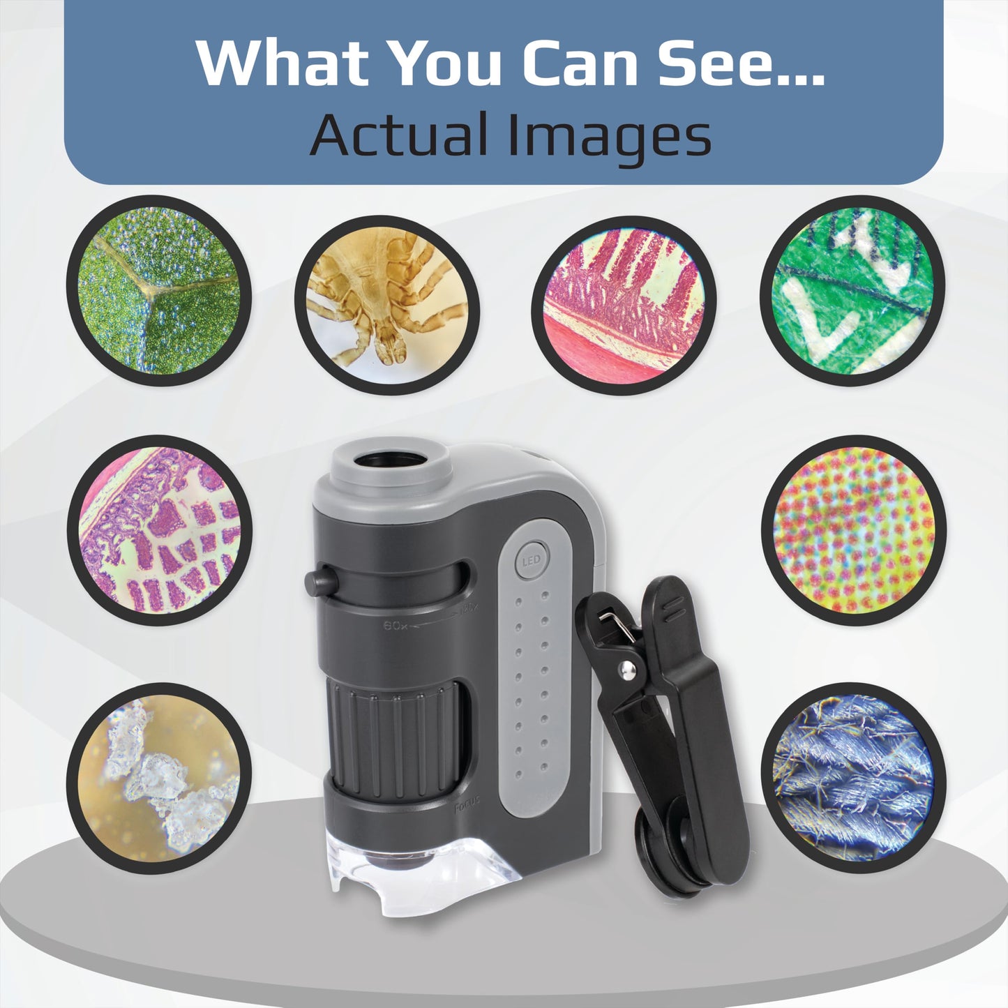 Carson Smartphone Digiscoping Adapter Clip for MicroBrite Plus 60x-120x LED Lighted Pocket Microscope with CarsonCam Phone App Converts into Powerful Handheld Digital Microscope (MM-310)