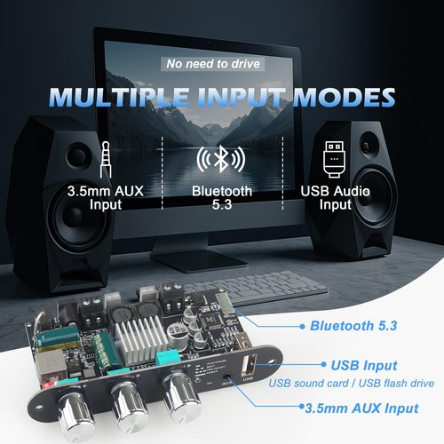 Wuzhi Audio ZK-1001U Mono Amplifier Board with TWS, 100W Power Output, Vehicle Amplifier Wide Voltage Input 9-24V, Supports USB/AUX/Bluetooth, Black
