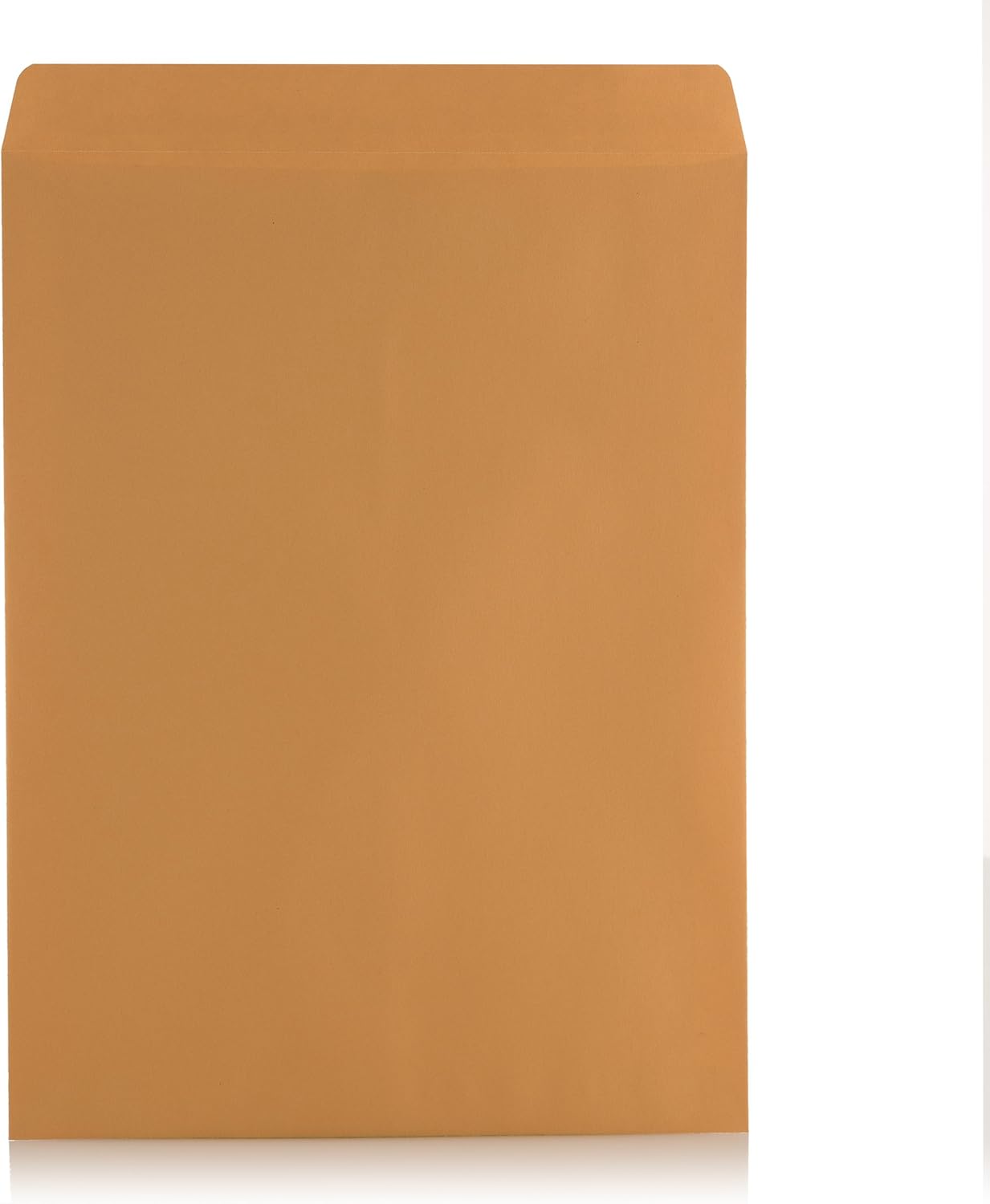 Brown Kraft Catalog Mailing Envelopes by 9 X 12 | Self-Seal, 28lb, 250 Count, 9x12 Inch