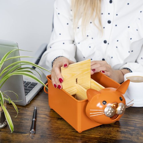 Made Easy Kit Desk Organizer, 1-5 Module Compartments - Storage for Stationery Supplies, Accessories, brushes - Home, Office, School, Dorm, Studio - Build in Pen & Pencil Holder (Orange Cat)