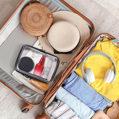 4 Pack Zippered Hard Pouch, Clear Plastic Storage Box Containers Small Toiletry Bag, Clear Hard Shell Zipper Case for Small Items, Toys, Building Blocks, Puzzles, Cosmetics, Stationery Accessories