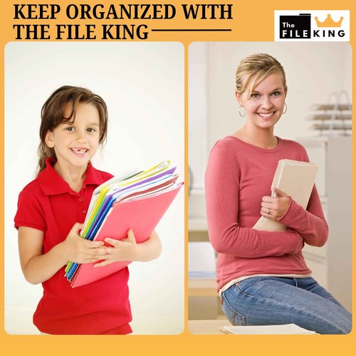 The File King 1/3 Cut File Folders Letter Size - 100 Pack | Manilla Folders 8.5 x 11 | Assorted 3 Tabs | Heavy Duty 11-Point Fiber | Made in USA | Undercut Front for Easy Labeling & Organization