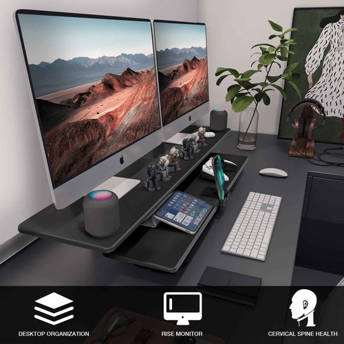 ECO-WILL Dual Monitor Stand, 2-Tier Wood Monitor Riser with Storage Organizer and Cable Management, Black
