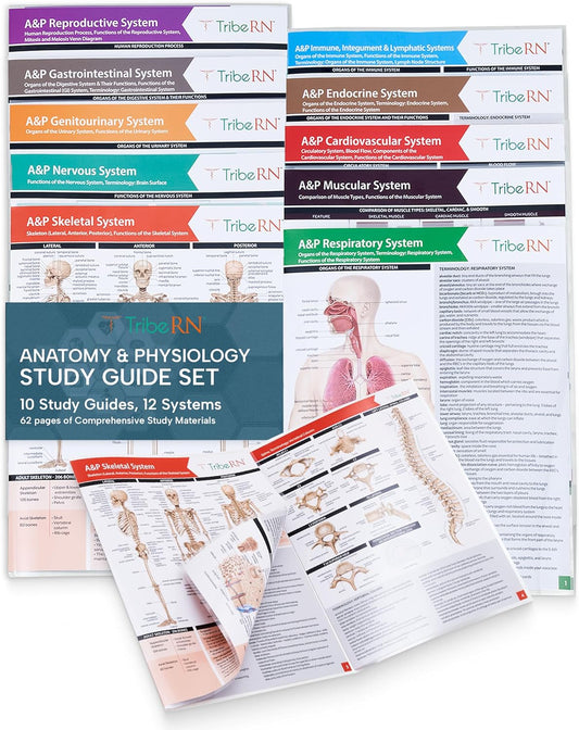TribeRN Anatomy & Physiology Study Guides - Set of 10 Comprehensive Human Anatomy Resources for Nursing Students | 12 Key Topics with Reference Charts