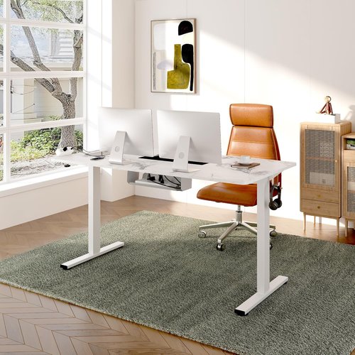 FLEXISPOT EN2 Electric Height Adjustable Standing Desk - 48"x30" with Clamp Power Strip & Cable Management - White Frame