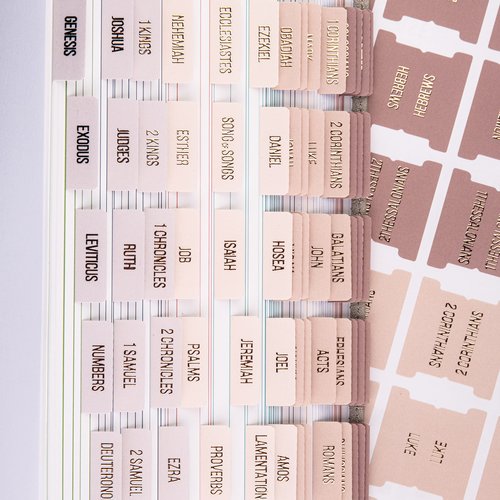DiverseBee Laminated Bible Tabs (Rose Gold Embossed Lettering), Bible Journaling Supplies, Bible Book Tabs, Christian Gift, 73 Bible Tabs for Women and Men, Includes 4 Blank Tabs (Pearl)