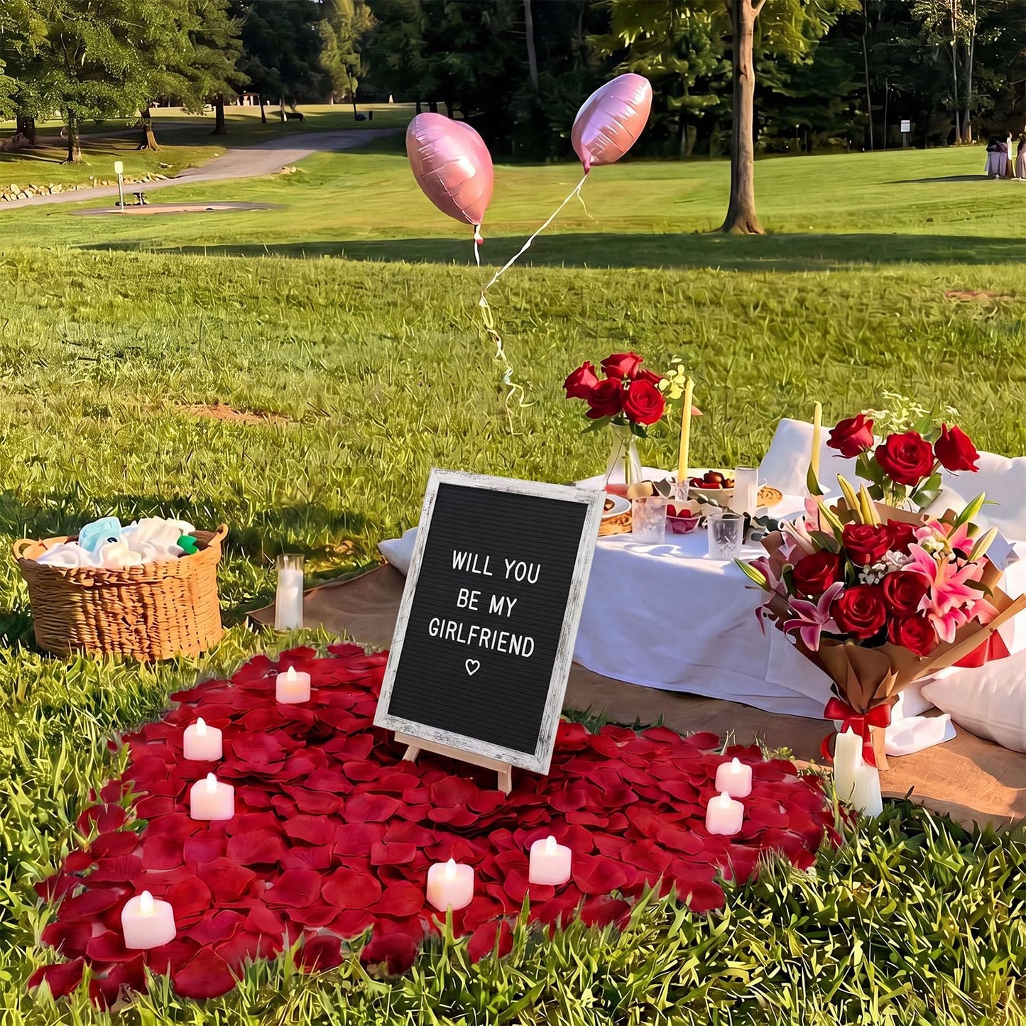 Ceenna Will You Be My Girlfriend Romantic Sign with LED Candles and Artificial Rose Petals Valentine's Day DIY Felt Letter Wood Board Sign with Lights for Valentine's Day Anniversary Party(Black)