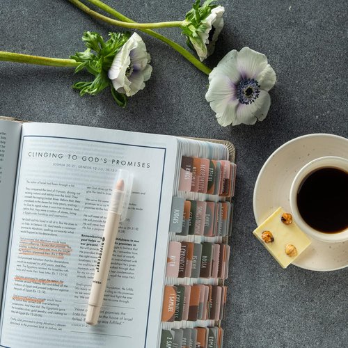 DIVERSEBEE Bible Tabs - Large Print, Easy Application | Sunset Index Tabs for Bible Study & Journaling