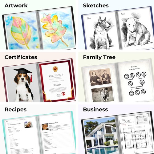 Dunwell Presentation Binder 60-Pocket, Displays 120 Pages, 8.5x11 Portfolio Binder with Plastic Sleeves, Storage and Organizer for Documents, Photos, Kids Artwork, Projects, Recipes (3 Pack, Black)