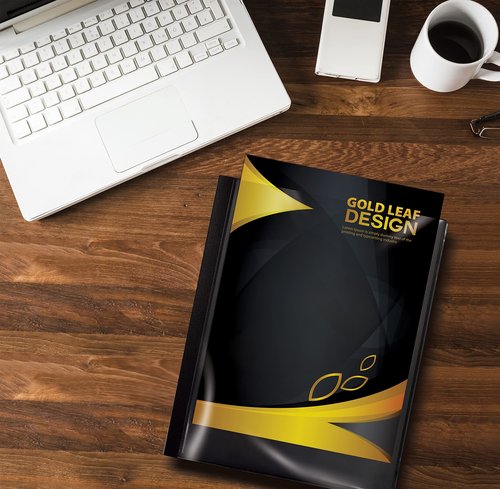 Better Office Products 60 Pocket Bound Black Presentation Book, with Clear View Front Cover, 120 Sheet Protector Pages, 8.5" x 11" Sheets, Art Portfolio, Durable Poly Covers, Letter Size (2 Pack)