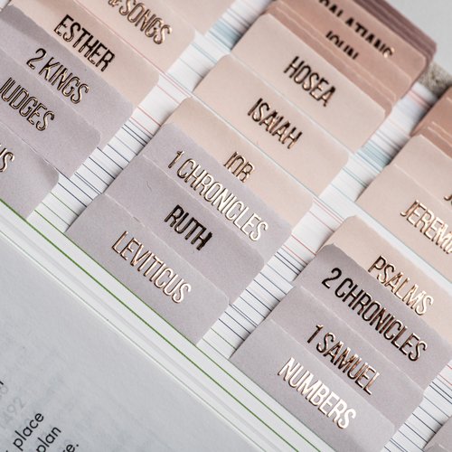 DiverseBee Laminated Bible Tabs (Rose Gold Embossed Lettering), Bible Journaling Supplies, Bible Book Tabs, Christian Gift, 73 Bible Tabs for Women and Men, Includes 4 Blank Tabs (Pearl)