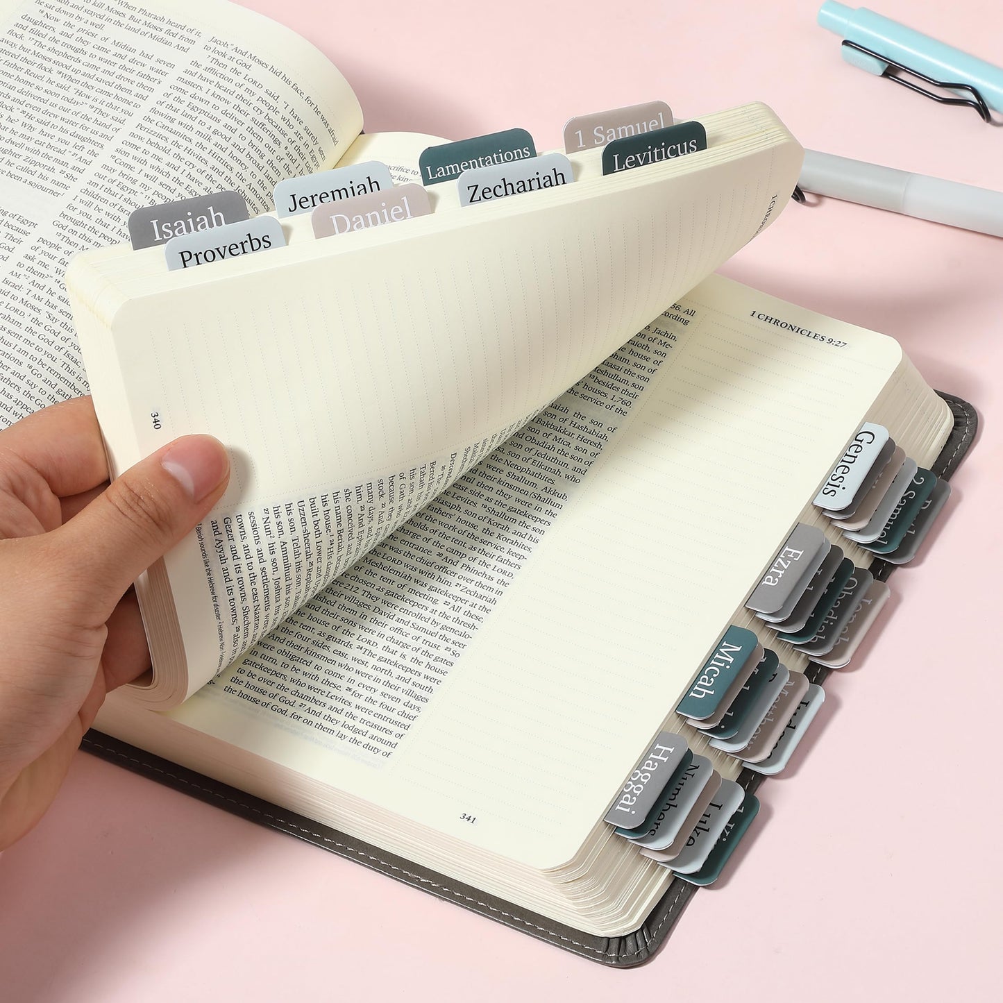 Mr. Pen- Bible Tabs, 75 Tabs, Winter Wood