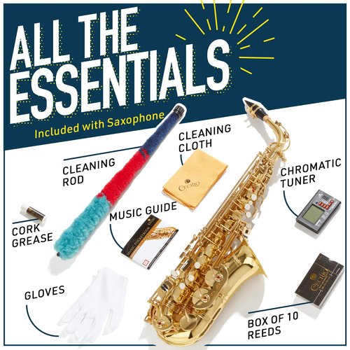 Mendini By Cecilio Alto Saxophone for Beginners, E Flat Tenor Saxophone for Students Musicians with Tuner, Mouthpiece, Case, 10 Reeds, Grease, Cleaning Cloth & Rod, Gloves, Strap, Book (Black Gold)