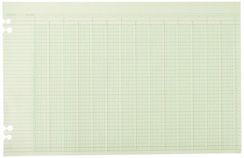 Wilson Jones Ledger Paper, 24 Columns and 36 Lines/Page, 11" x 17 ", 100 Sheets per Pack (WG50-24A)
