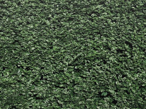 Fun Size Boxwood Better Than Paper® Bulletin Board Roll & Fun Size Vertical Black Wood Better Than Paper Bulletin Board Roll Large