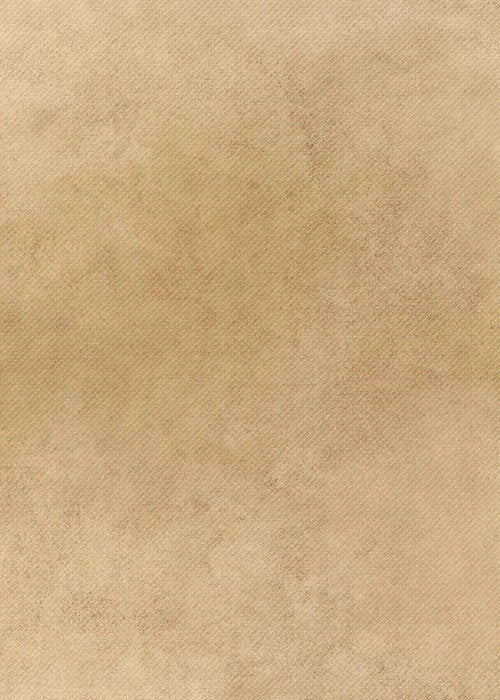 Teacher Created Resources Parchment Better Than Paper Bulletin Board Roll (TCR77033) & Fans (TCR77034)