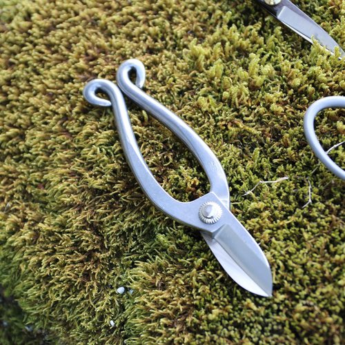 KAKURI Ikenobo Shears Japanese Flower Scissors for Fresh Flower Arranging 6.5" Professional Floral Scissors, Japanese Stainless Steel, Silver, Made in JAPAN