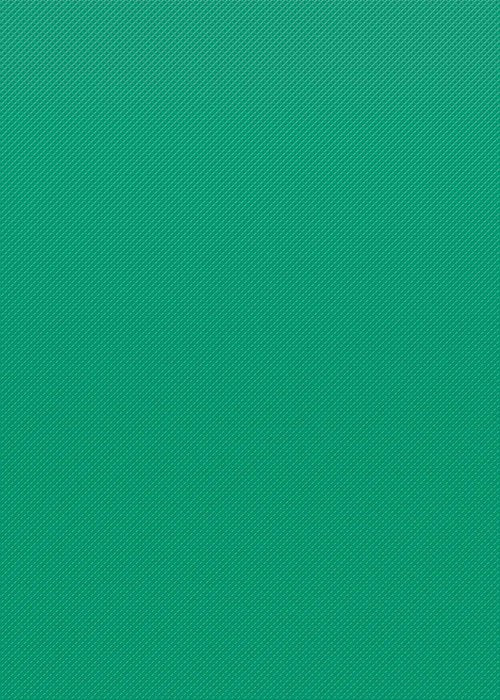 Teacher Created Resources Bulletin Board Roll Bundle - Royal Blue 77370 & Vivid Green TCR77895