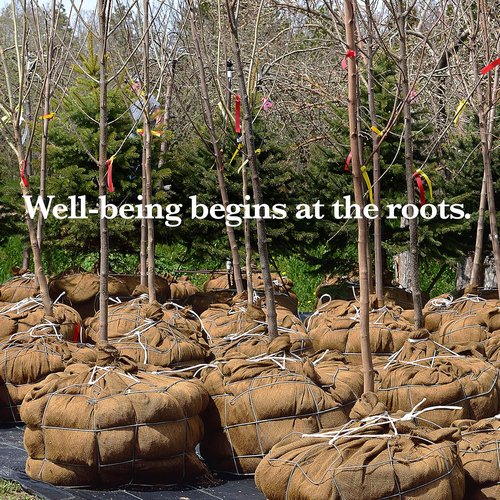 Burloptuous Gardening Burlap Roll - 40" x 30 Feet Natural Jute Fabric for Rustic Décor & Centerpieces