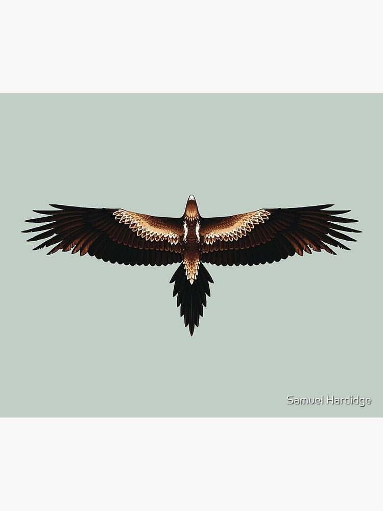 Wedge-Tailed Eagle Mouse Pad | Australian Bird Design | Eco-Friendly Material