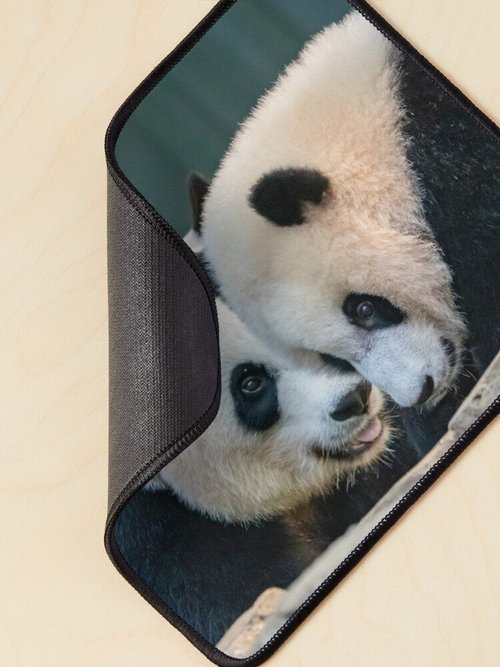 Mei Xiang & Xiao Qi Ji Mouse Pad | Smithsonian National Zoo Design