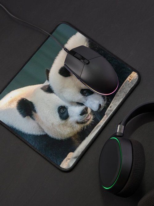 Mei Xiang & Xiao Qi Ji Mouse Pad | Smithsonian National Zoo Design